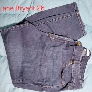 Lane Bryant Indigo Denim Jeans